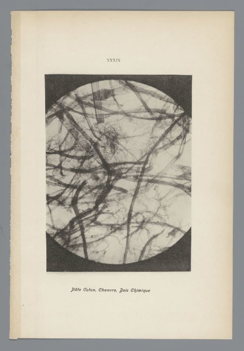 Microfoto’s van papiervezels