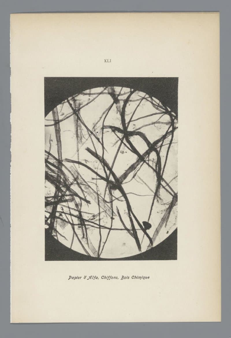 XLI Papier d'Alfa, Chiffons, Bois Chimique