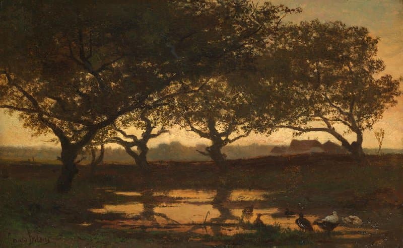 Bosvijver bij zonsondergang