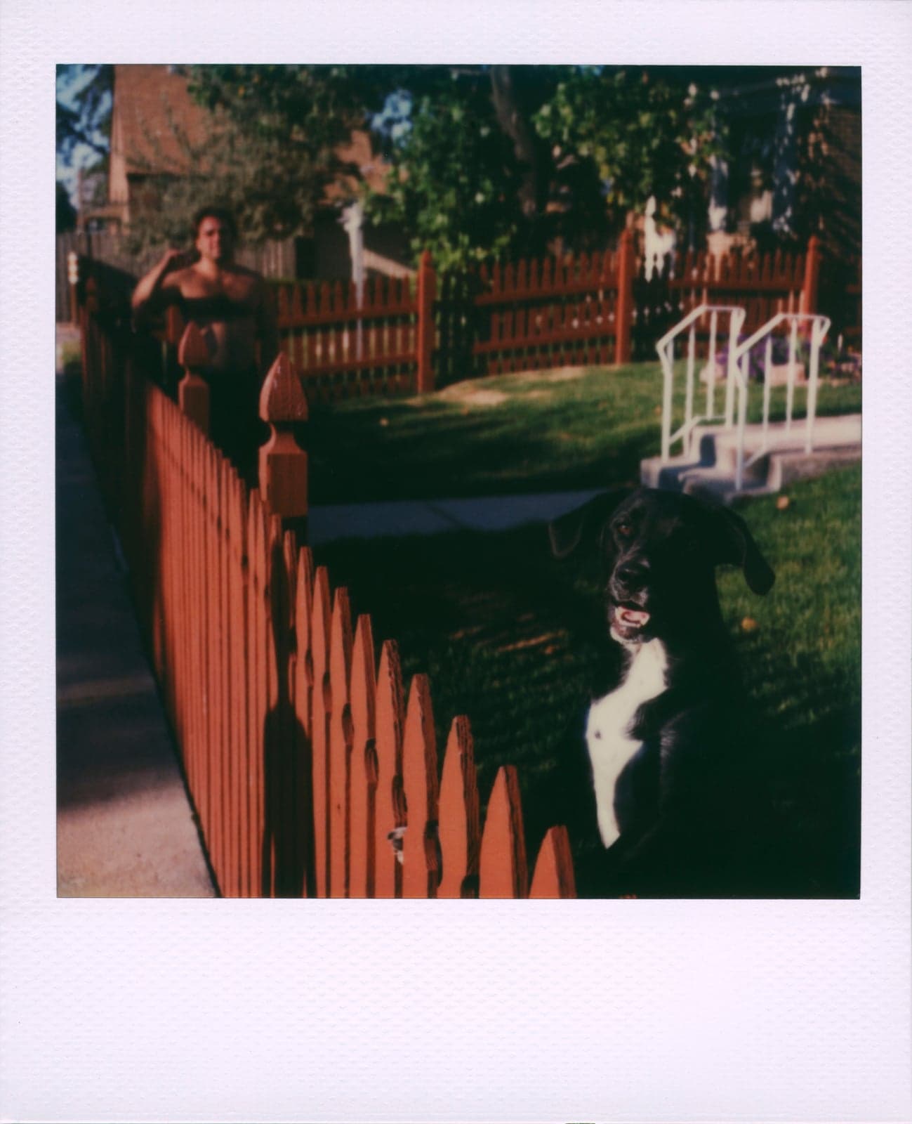 Chicago Southeast SX-70 Polaroids
