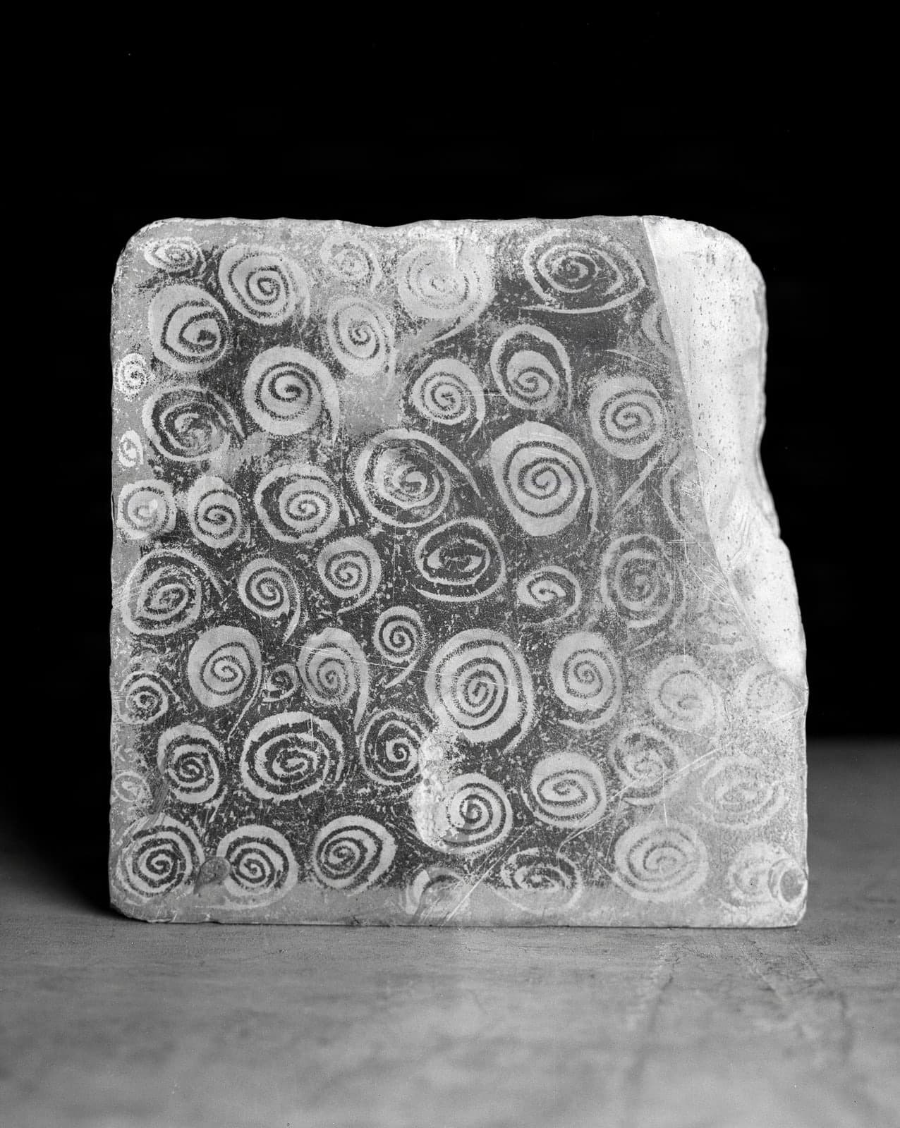 Close-up of Plattenkalk Slab with Numerous Spiral Impressions