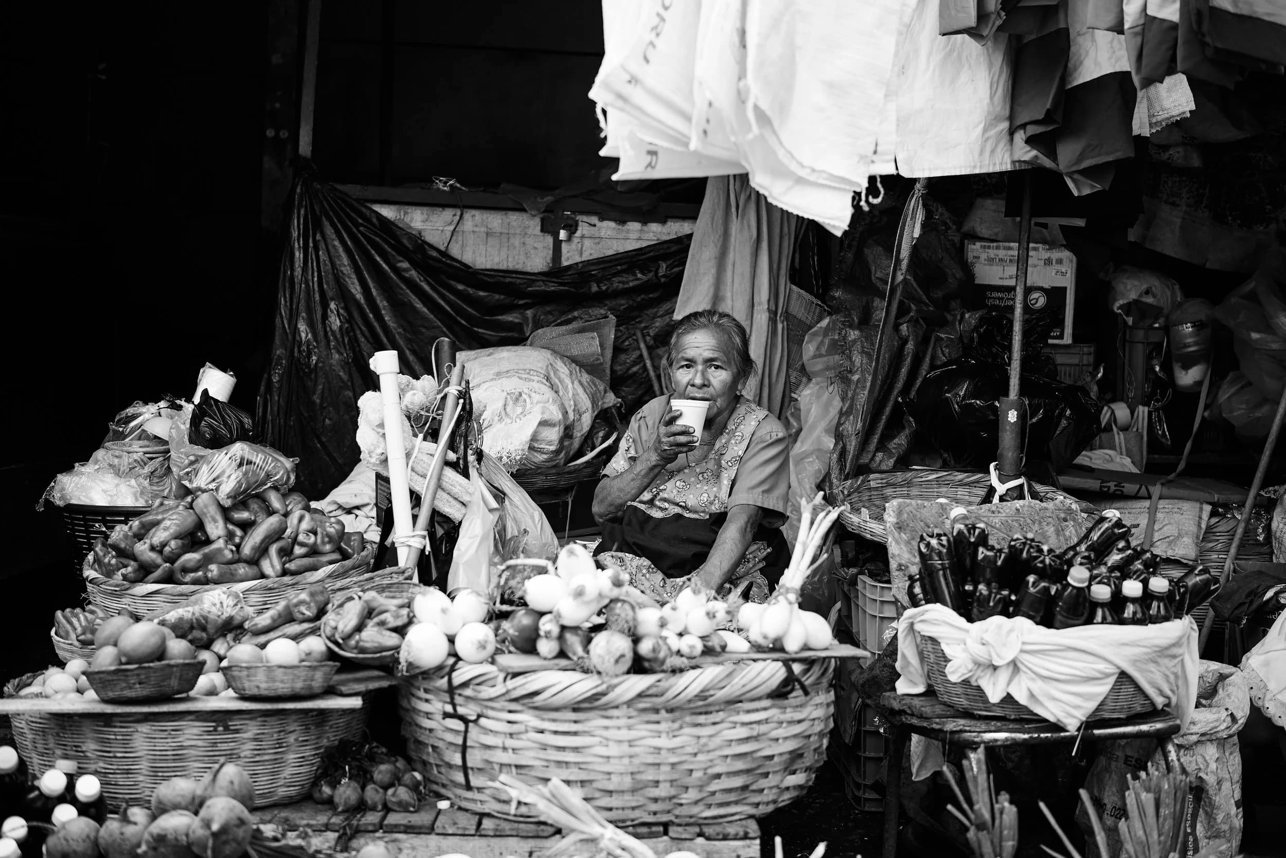 El Mercado Central