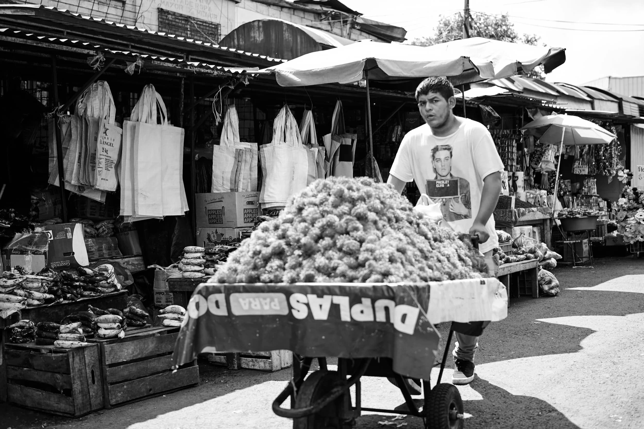 El Mercado Central