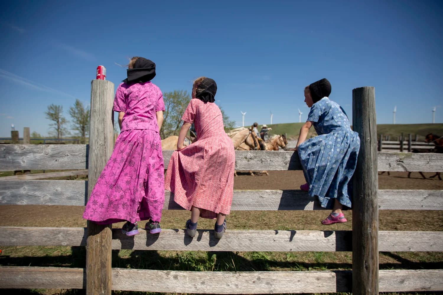 Hutterite Girls on Fence