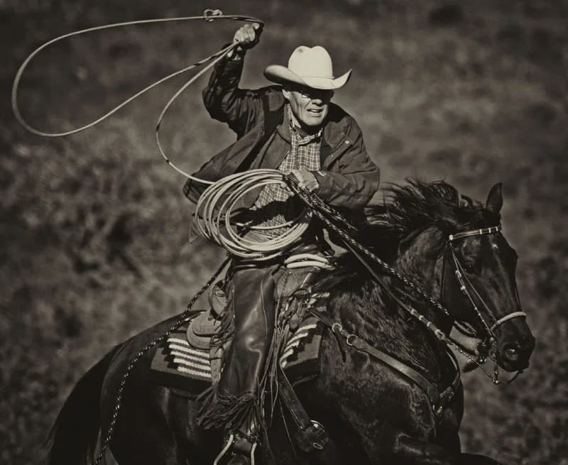 western17