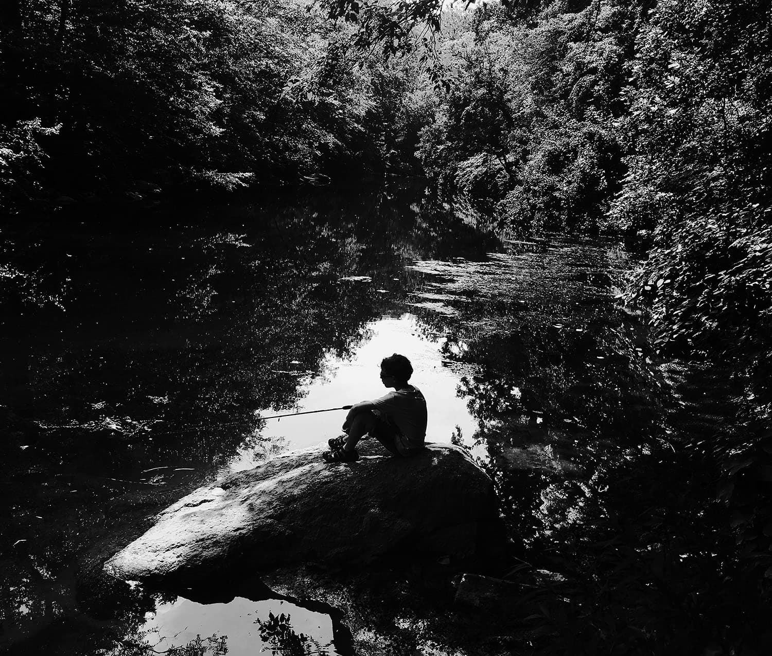 philadelphia nature photographer13