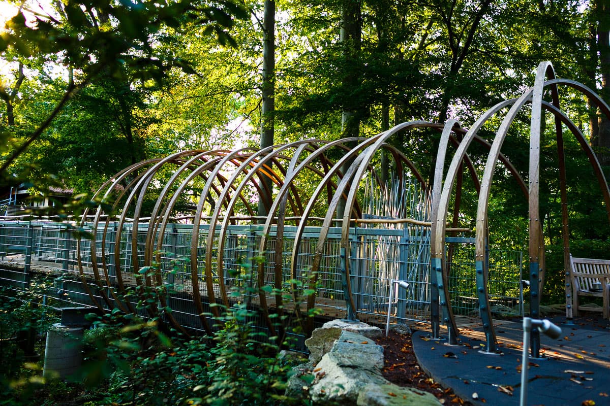 Morris Arboretum02