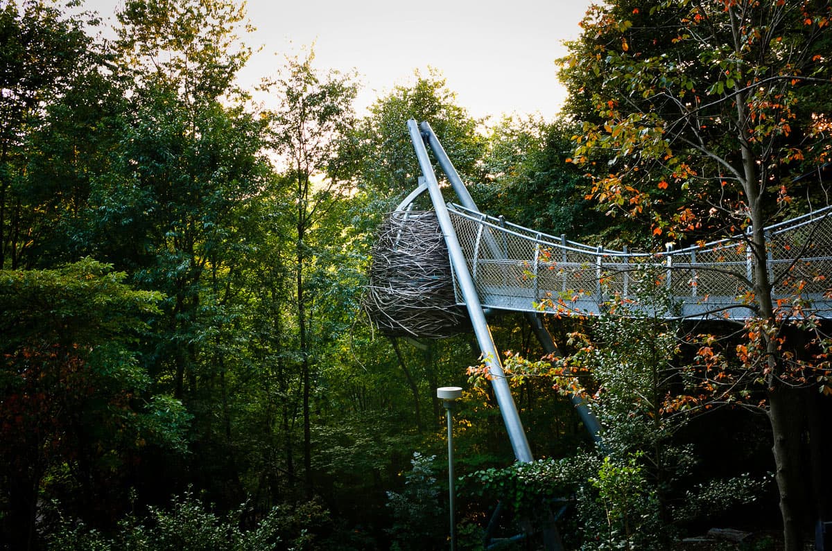 Morris Arboretum05